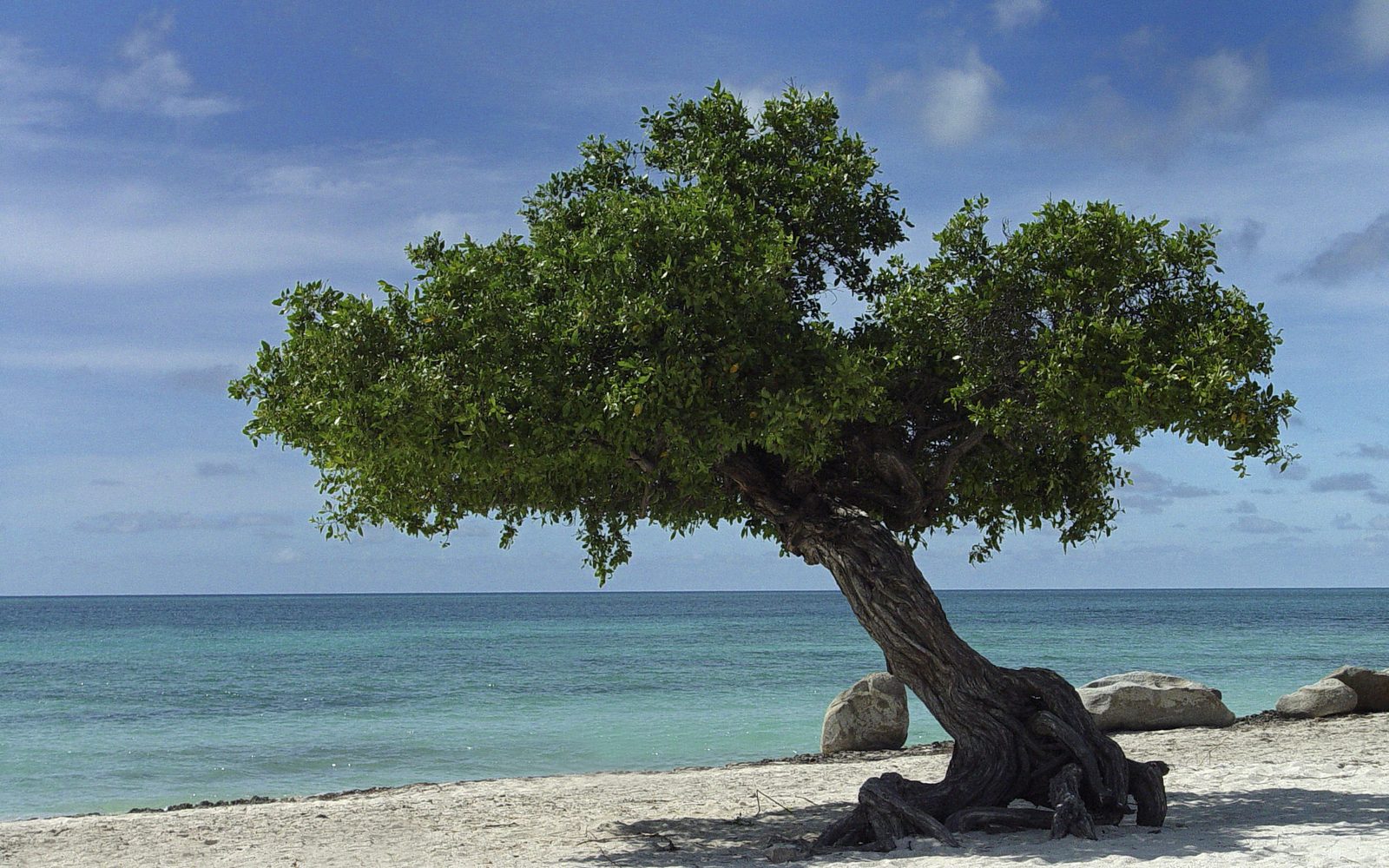 Aruba
