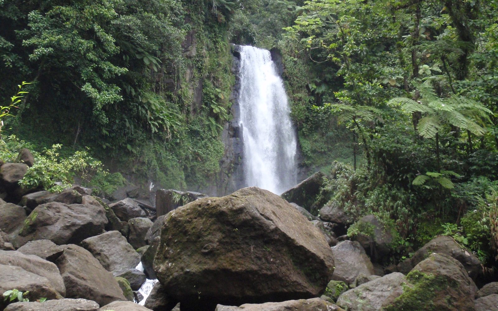 Dominica