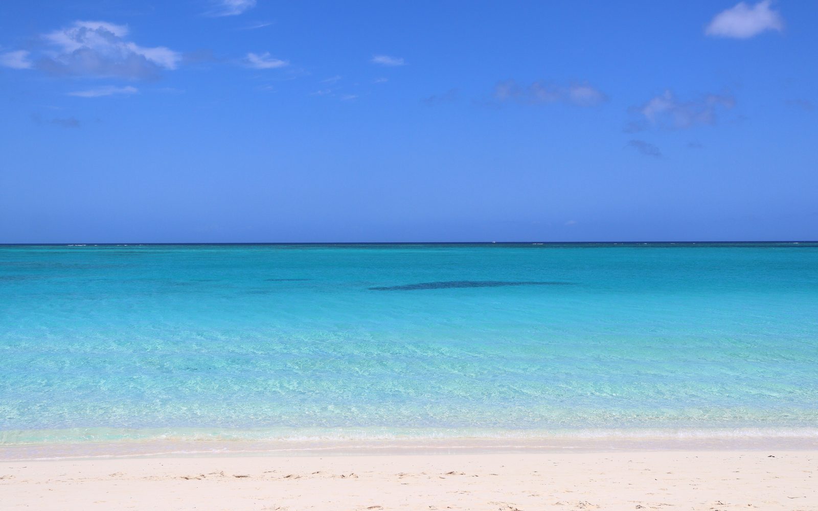 Caribbean specialists
