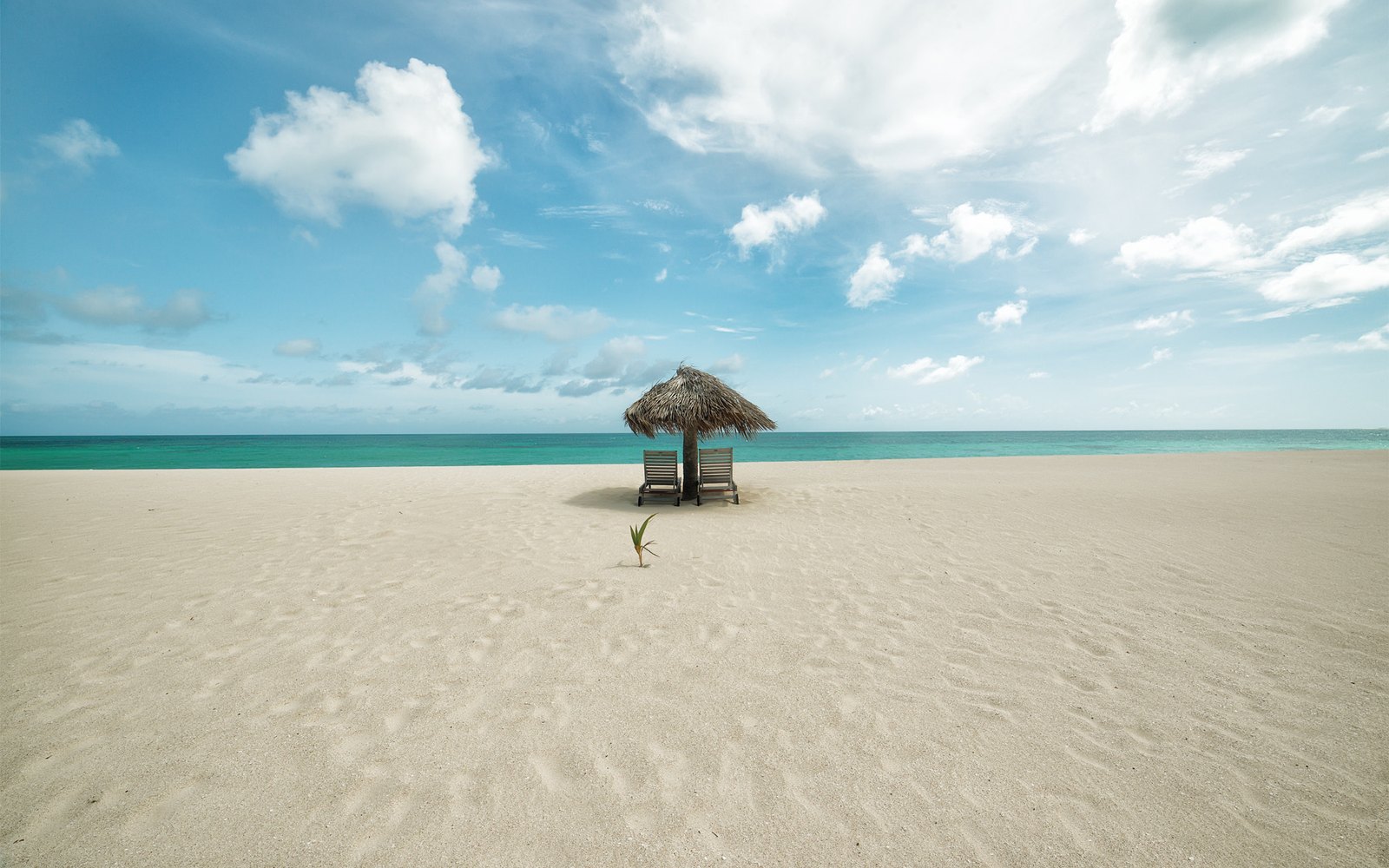 Carlisle Bay