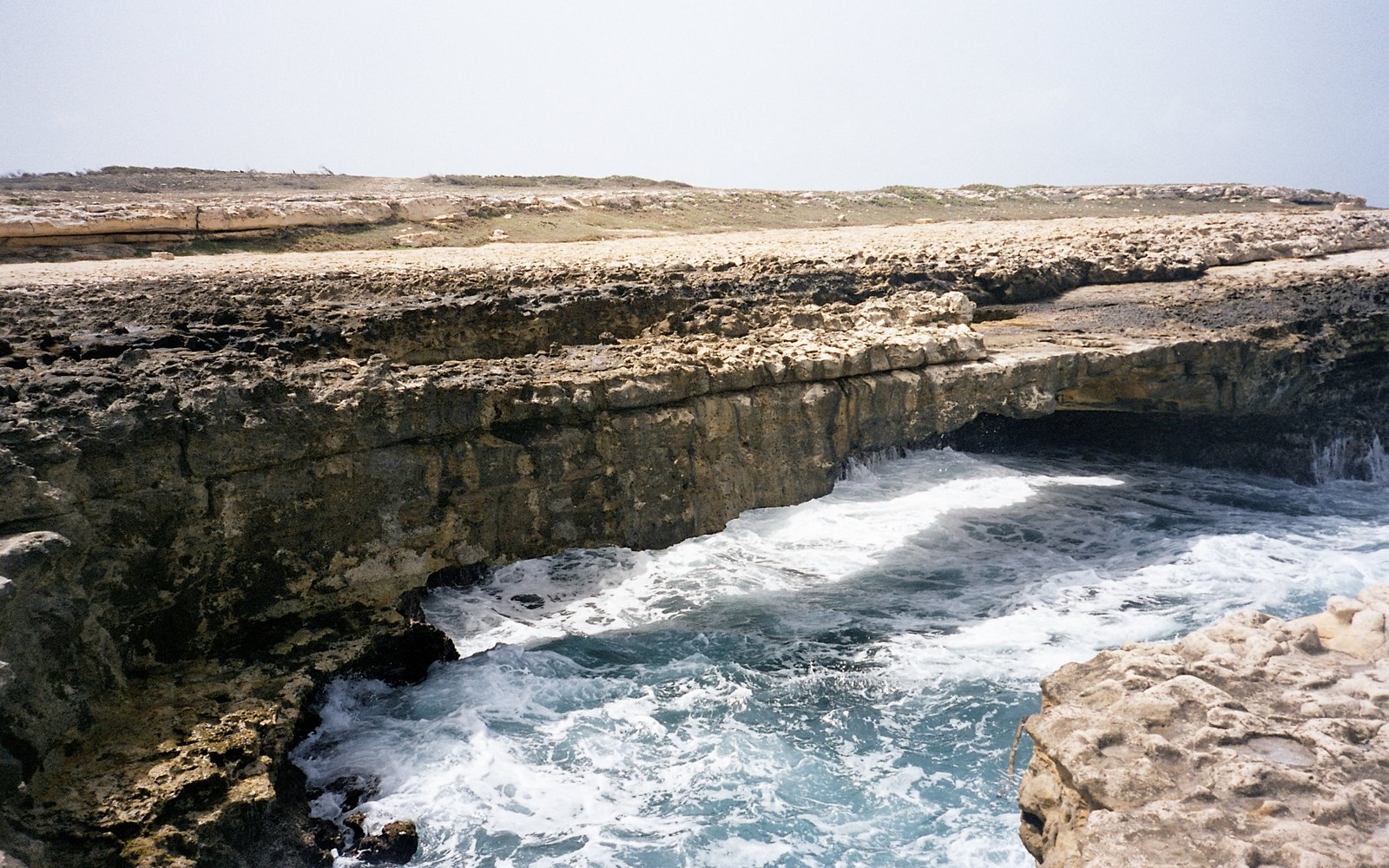 Hammock Cove