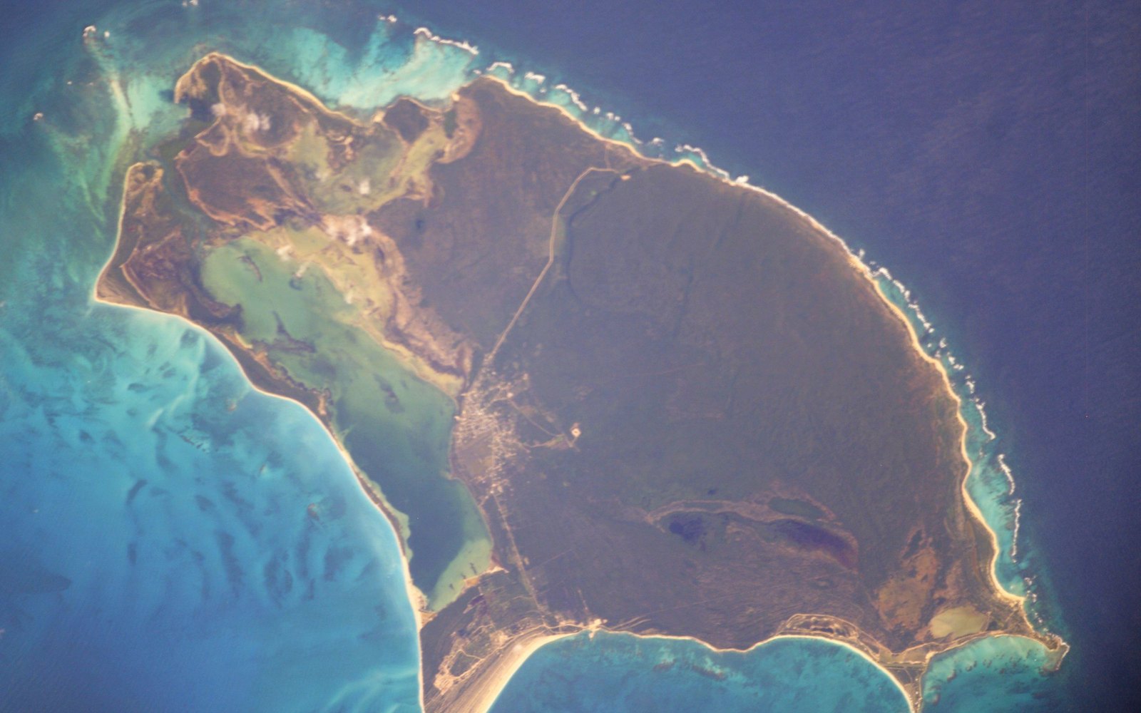Barbuda Belle