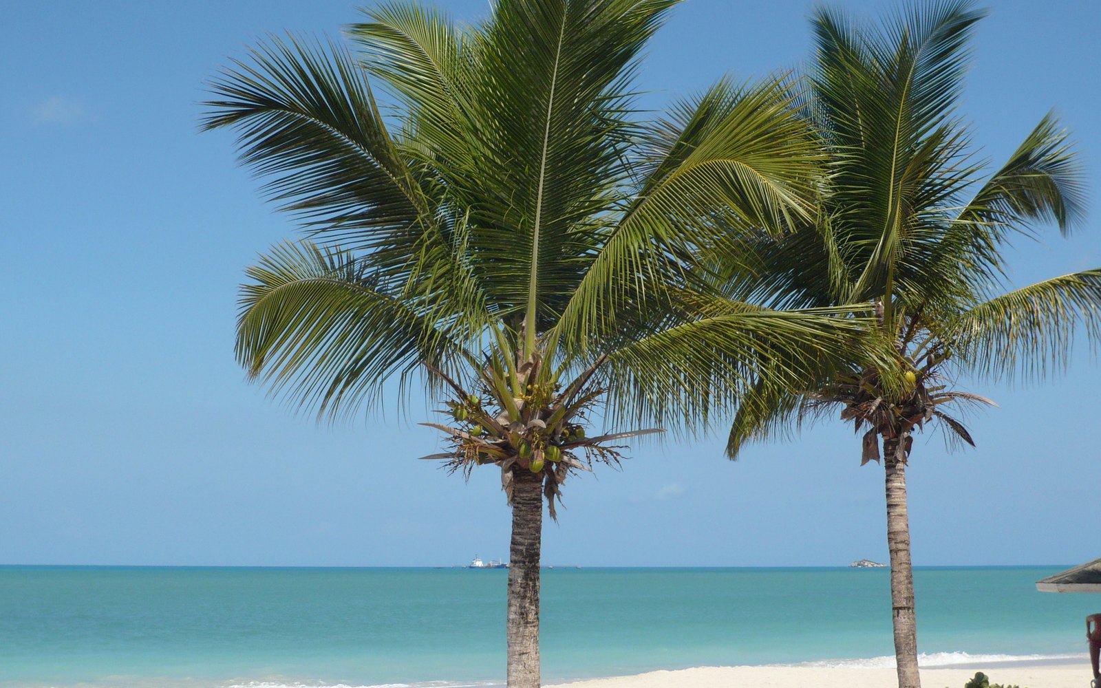 Hodges Bay Resort & Spa