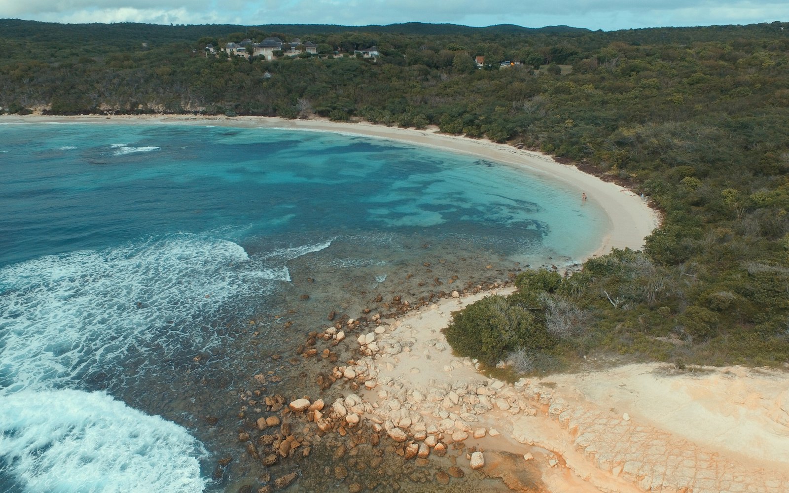 Turtle's Nest