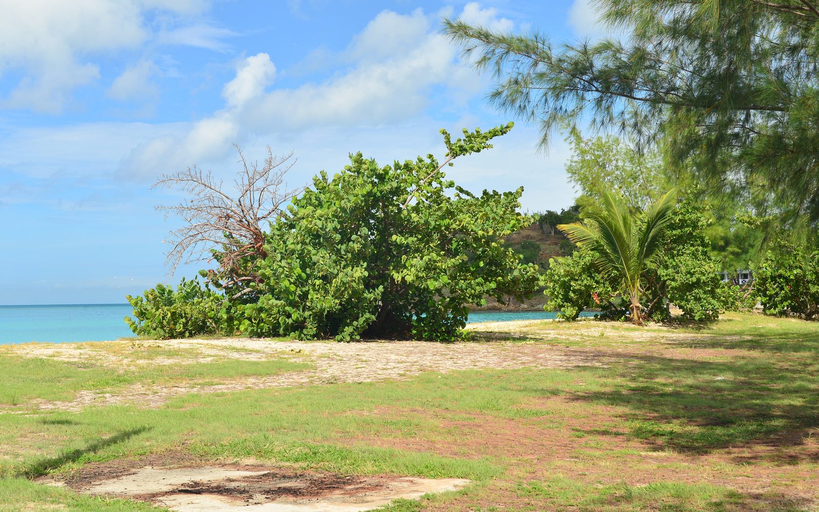 Antigua Rainforest Zipline Tours