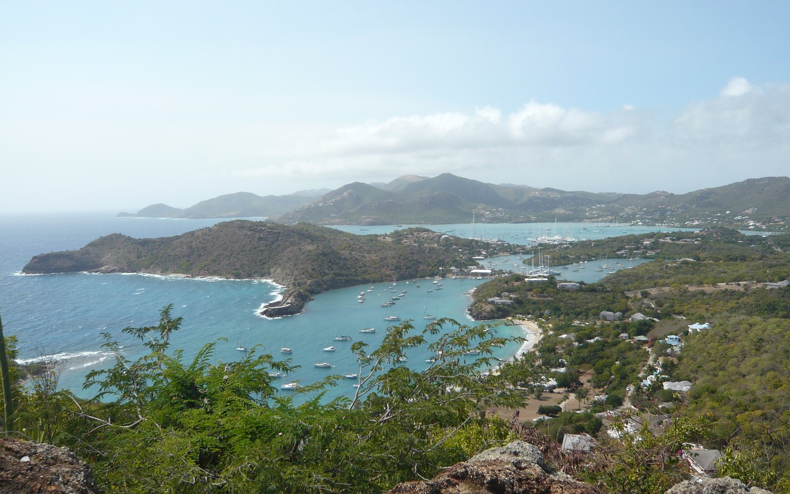 Eagle Discovery Transfers and Tours