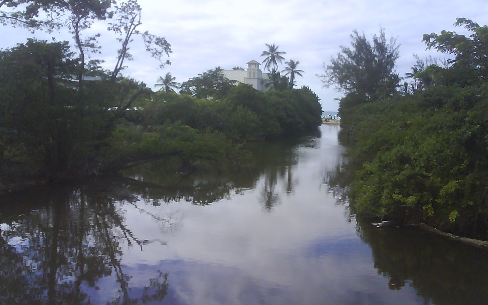 Mango Bay