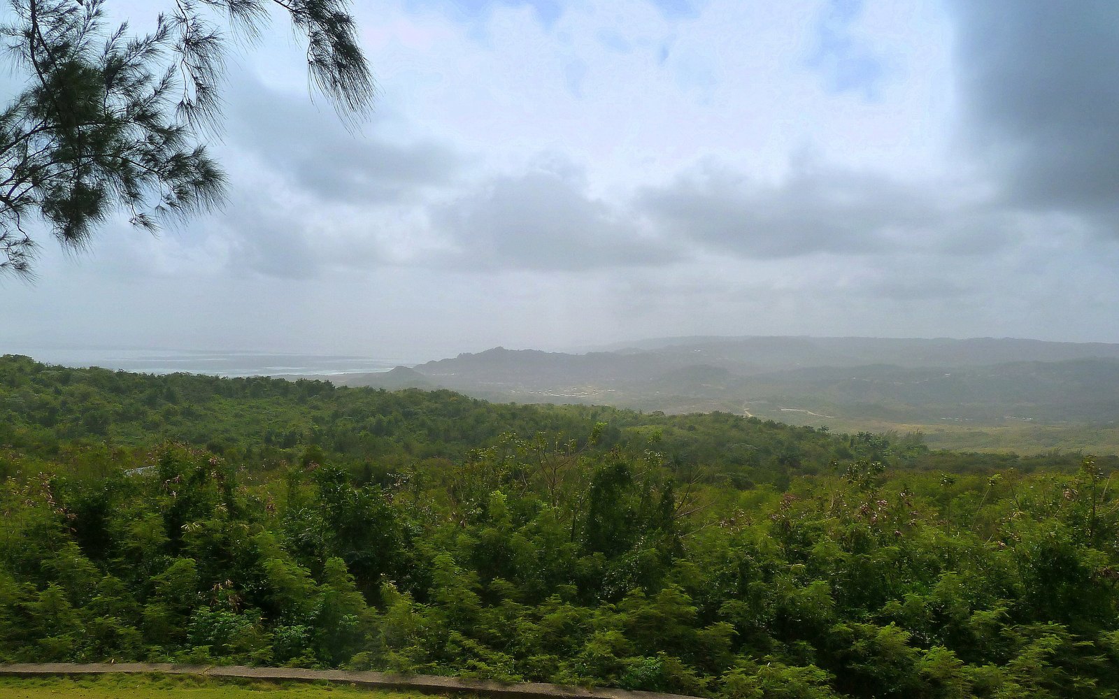 PamRu – Cozy Cottage, Bathsheba