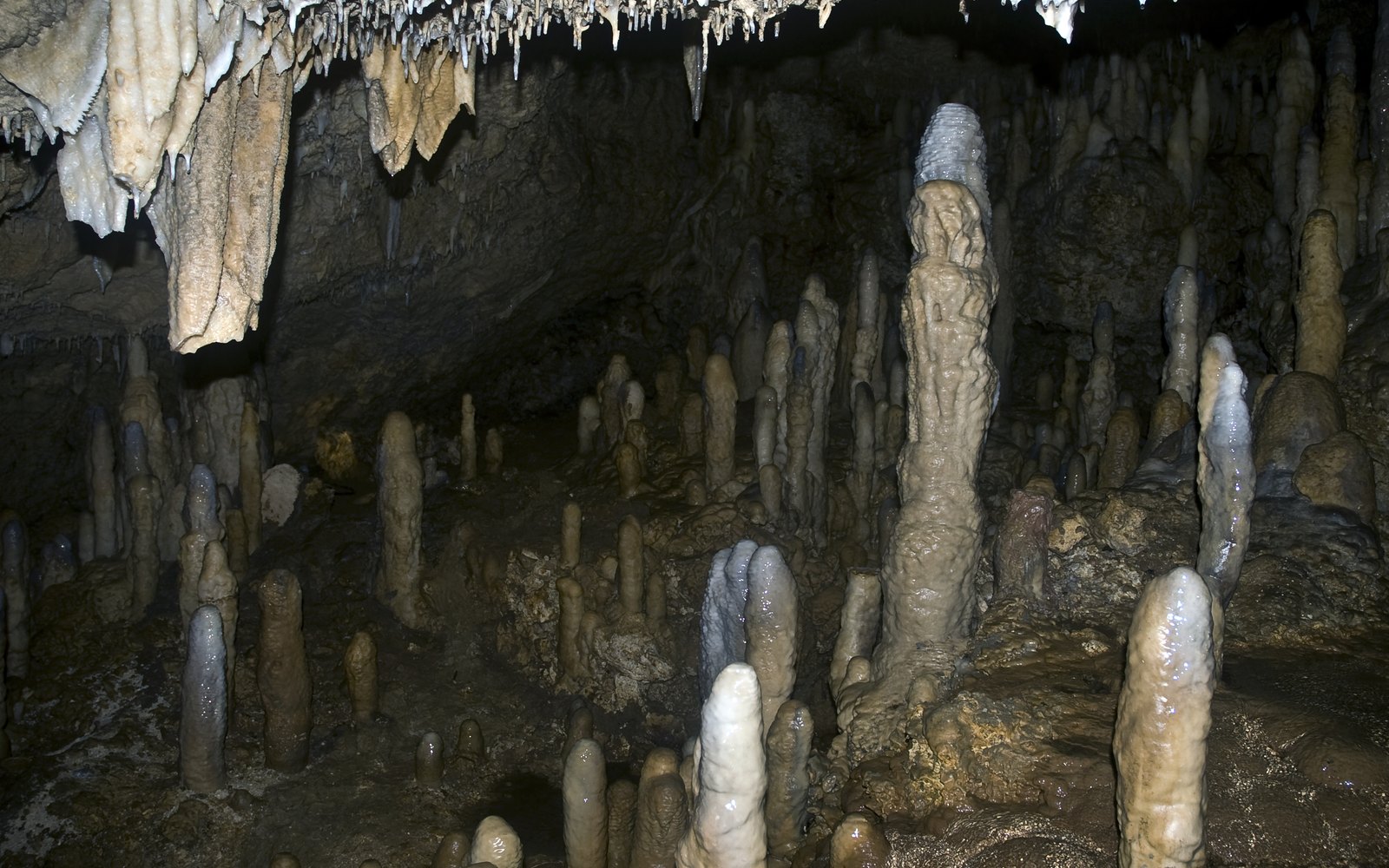 Harrison's Cave Eco-Adventure Park