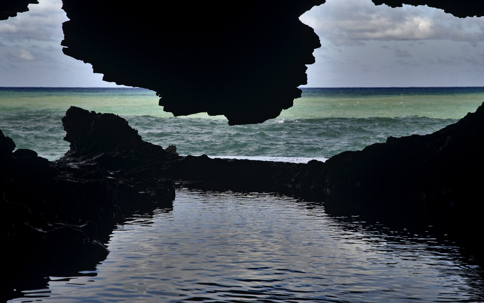 Animal Flower Cave