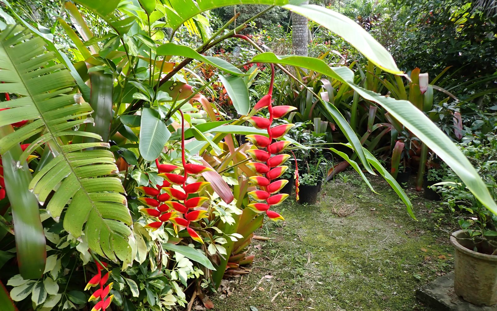 Flower Forest Botanical Gardens