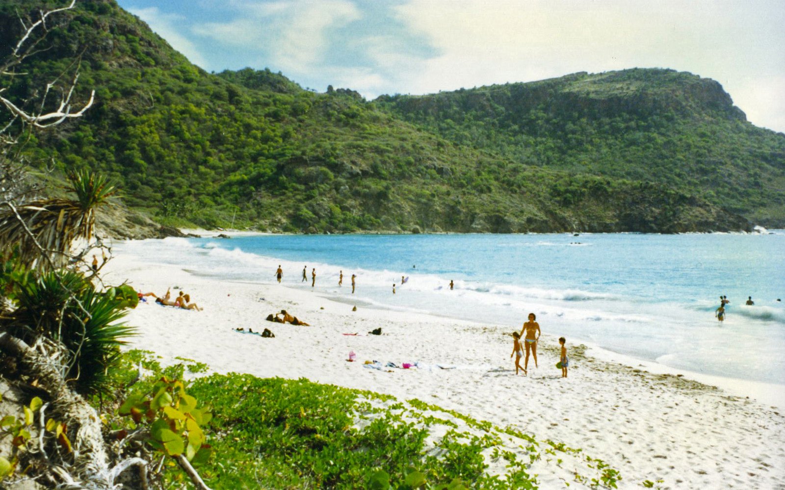 Salines Garden