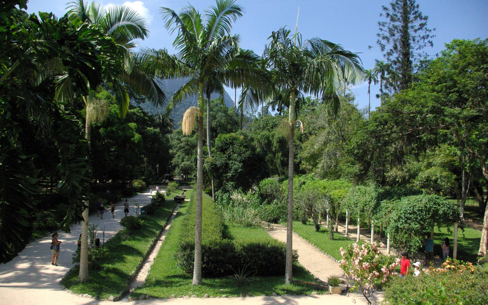 Jardim Botânico do Rio de Janeiro