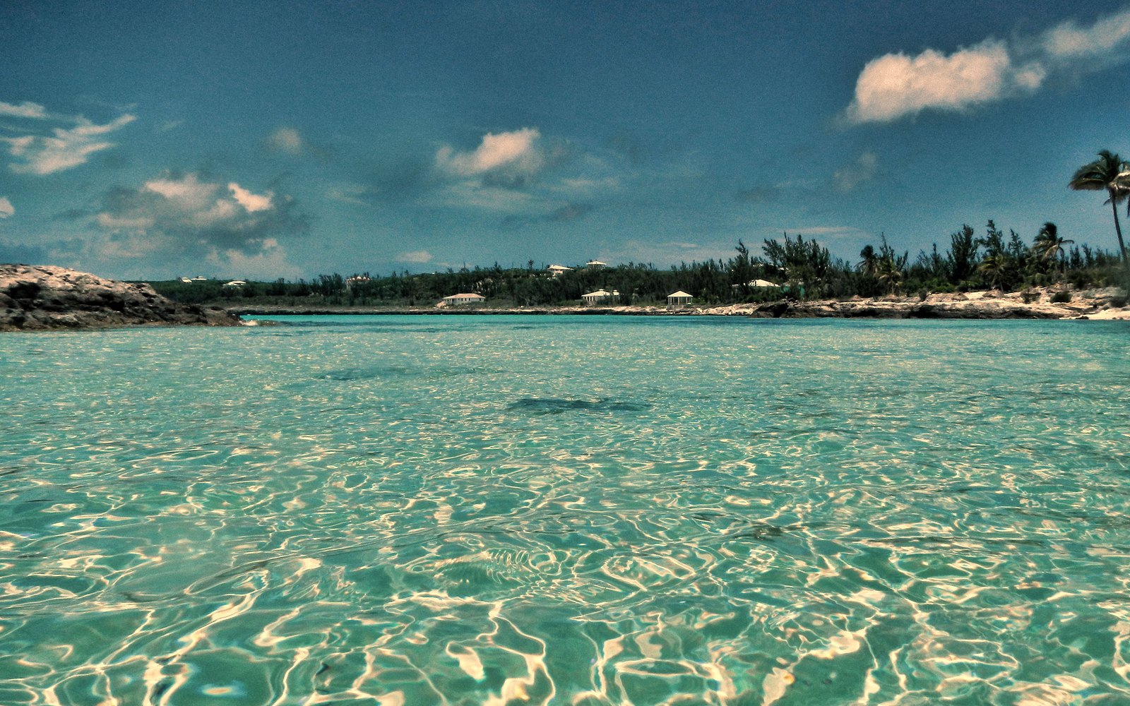 The Cove Eleuthera