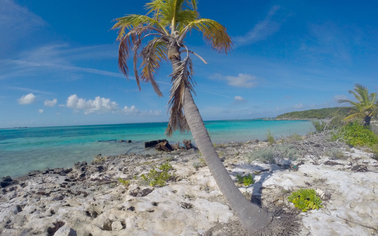 Blue Lagoon Island – Dolphin Encounters