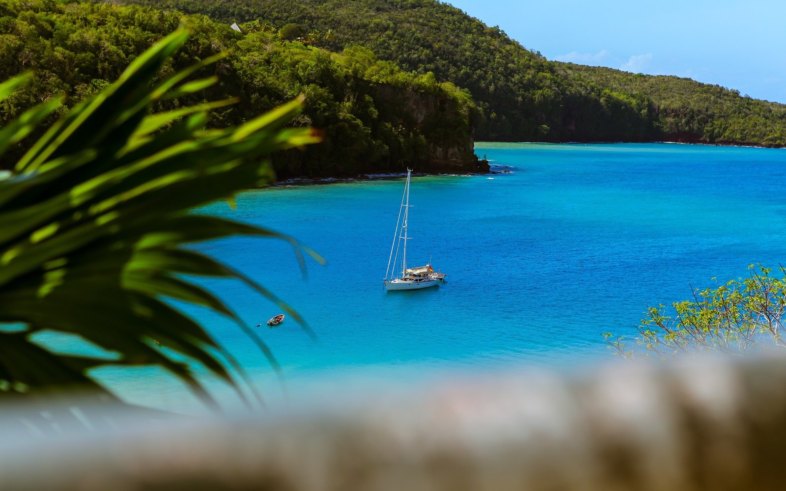Seas N' Cays – Private Charters