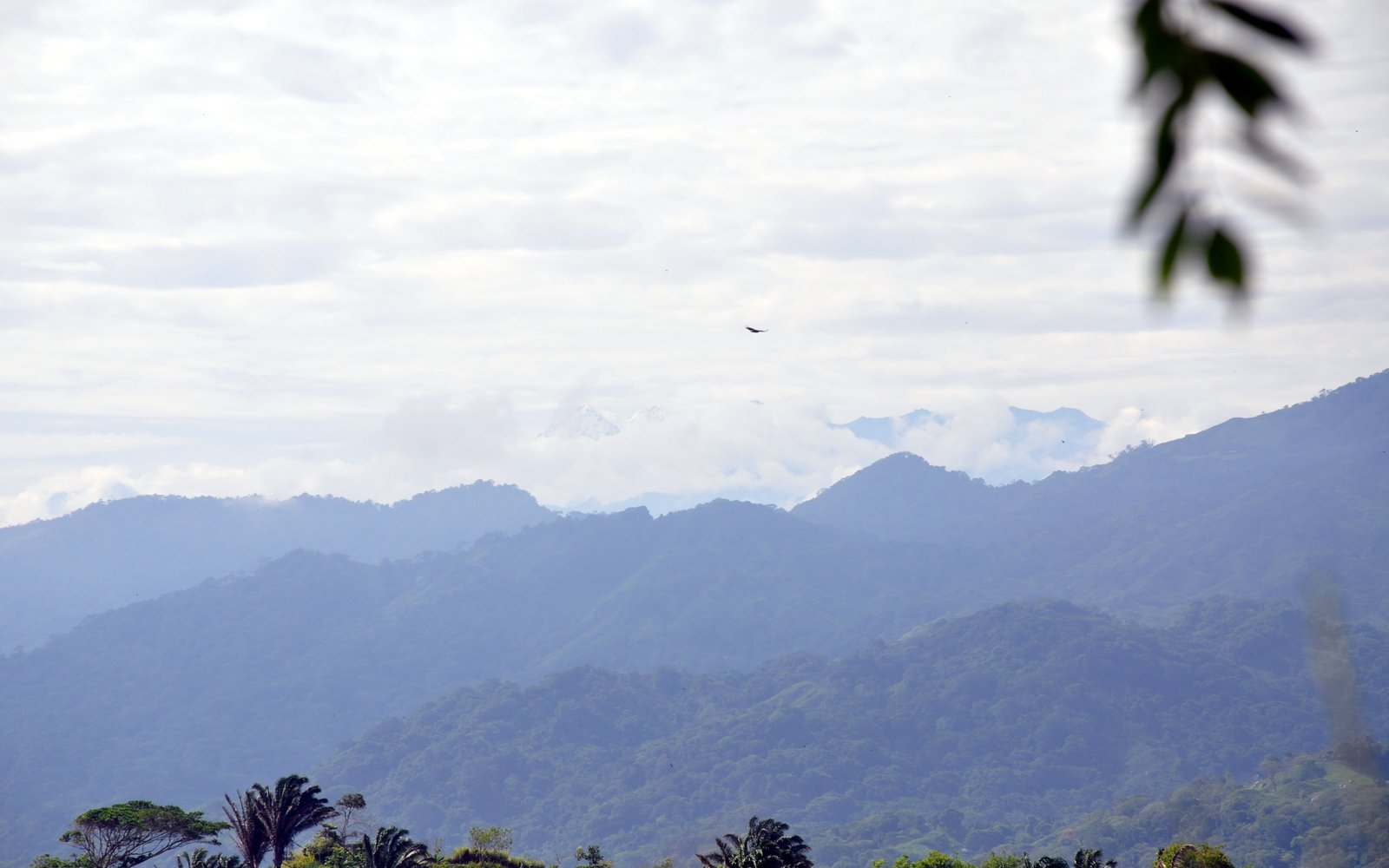 Tayrona Tented Lodge