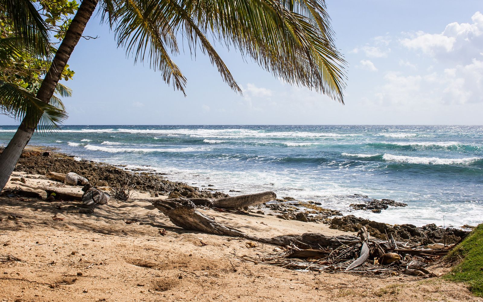 Beach Duplex Apartment, San Andrés