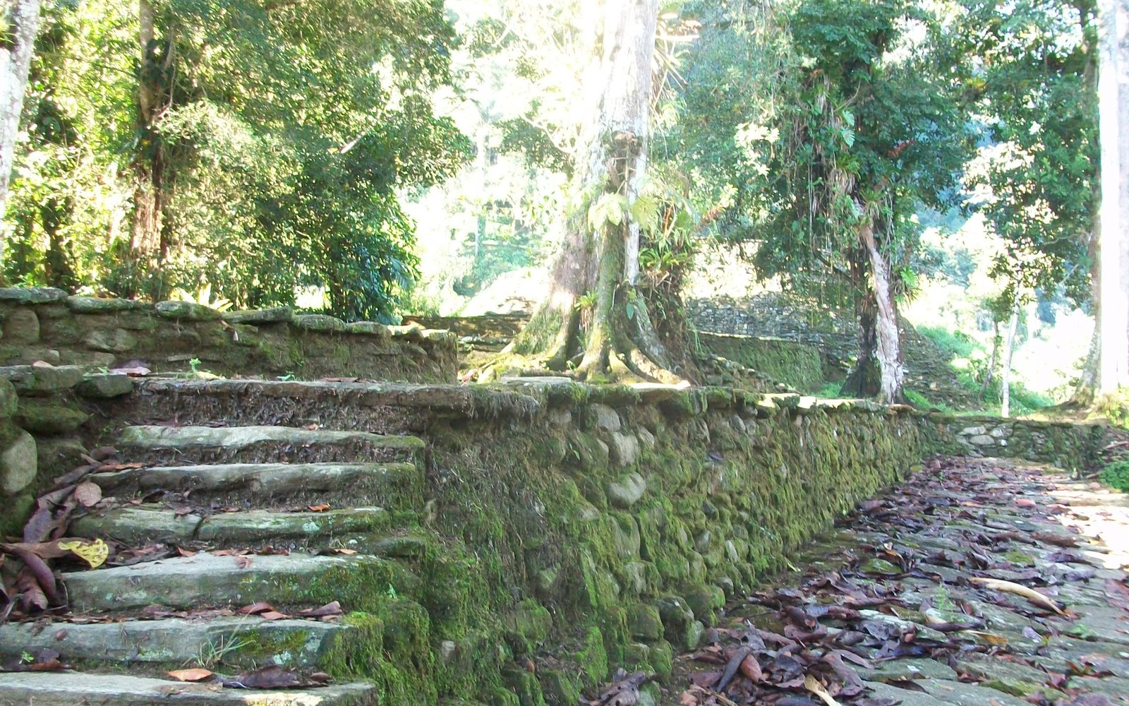 Lost City Trek with Magic Tour Colombia