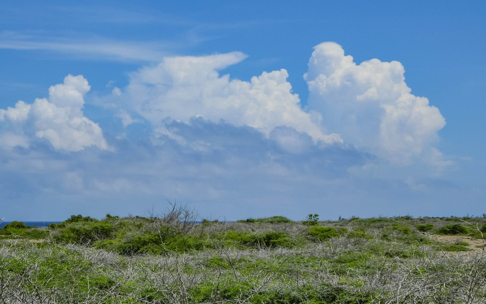 Christoffel National Park