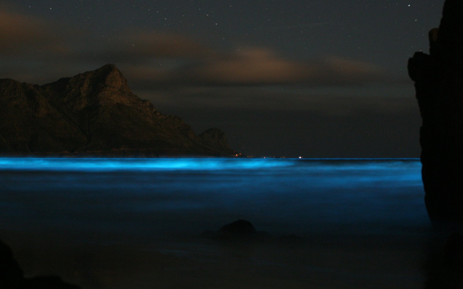 Glistening Waters – Luminous Lagoon Tour