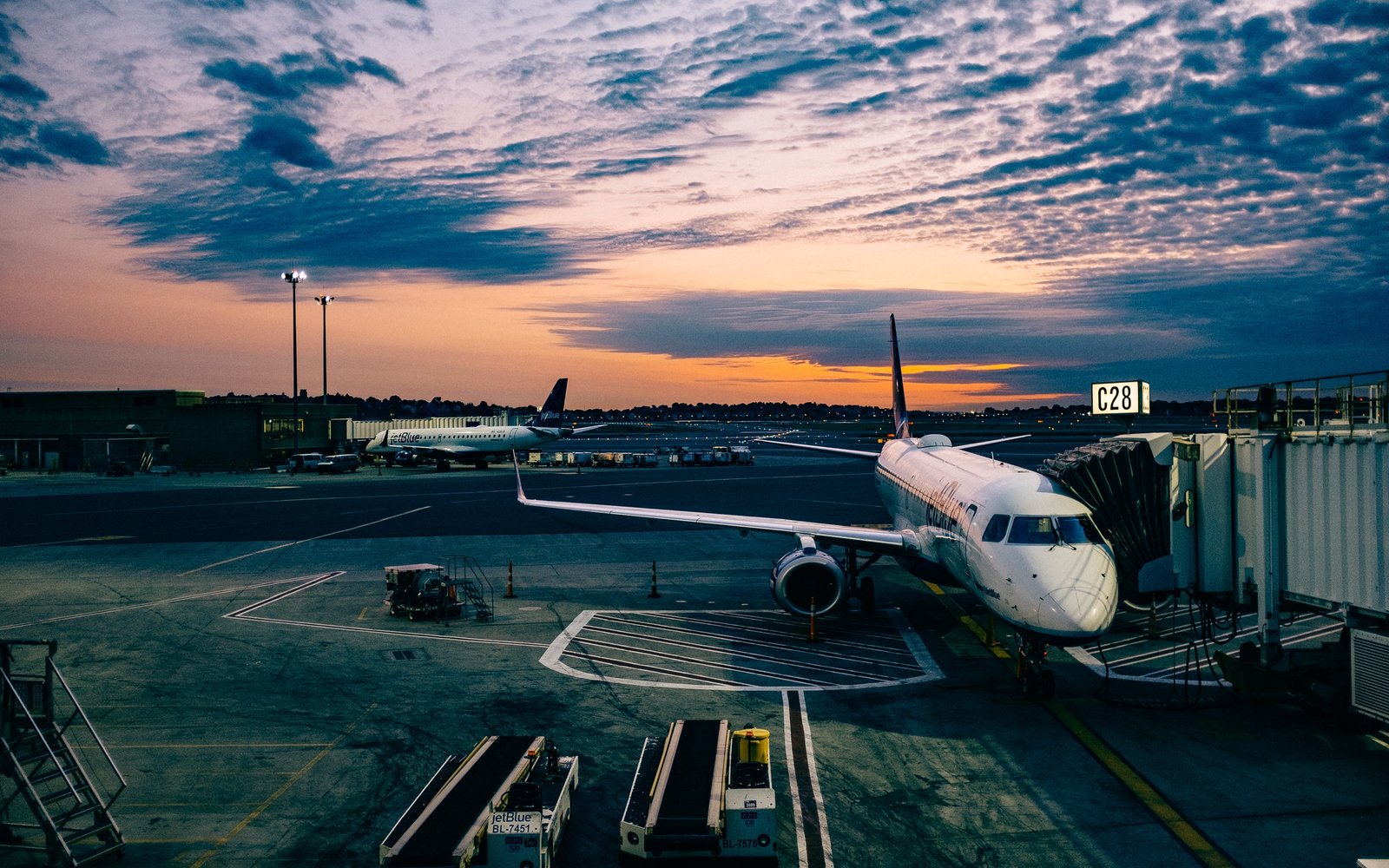 Jam Ride Tours – Private MBJ Airport Transfers