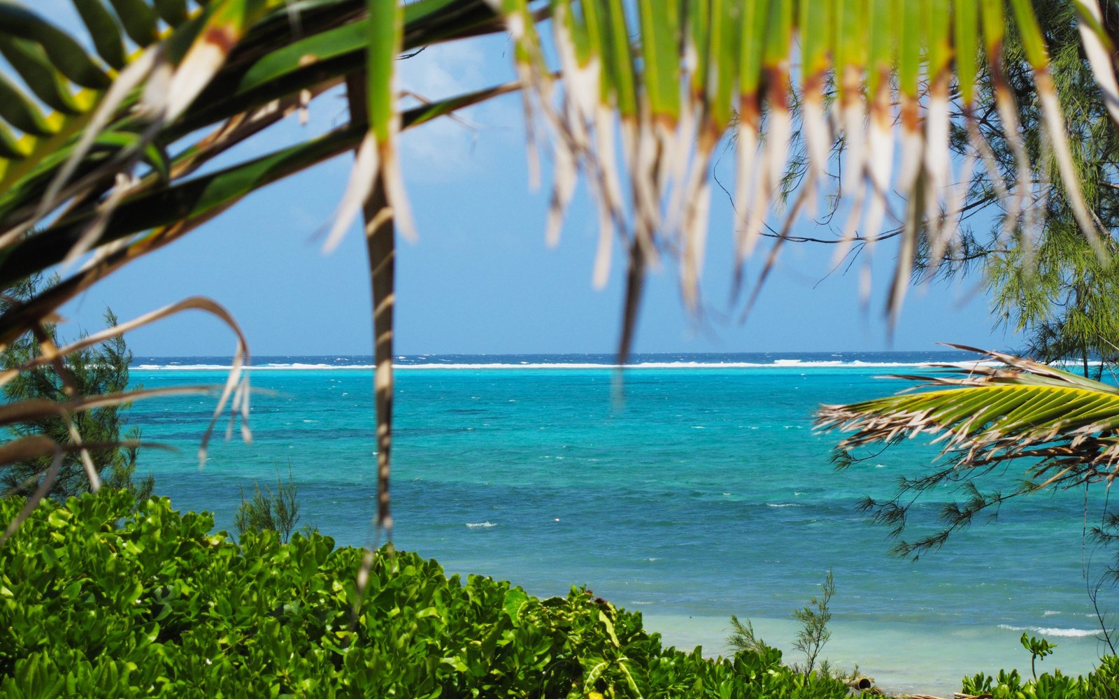 Little Cayman Escape (Cayman Villas)