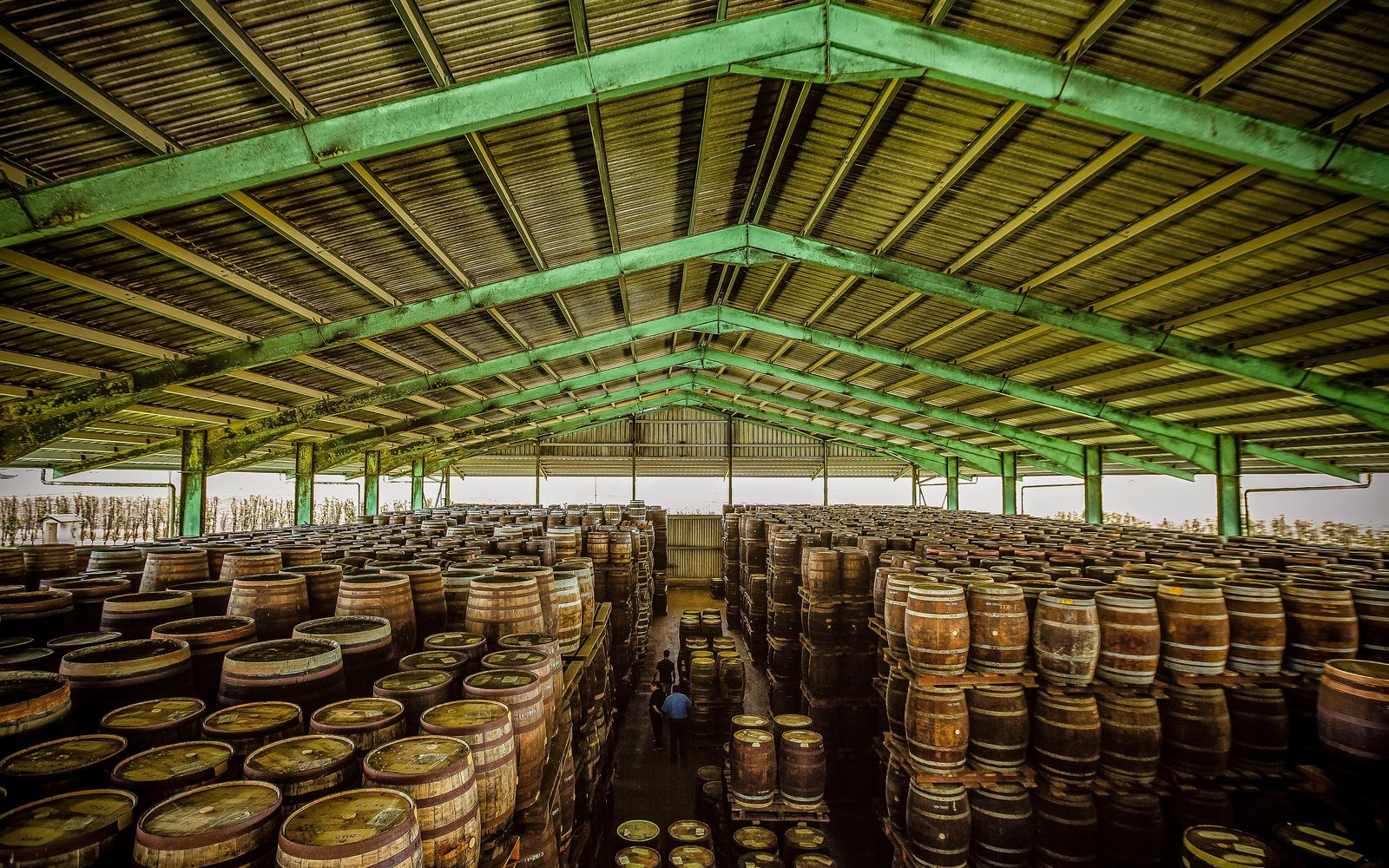 Cayman Spirits Co. – Distiller's Tour