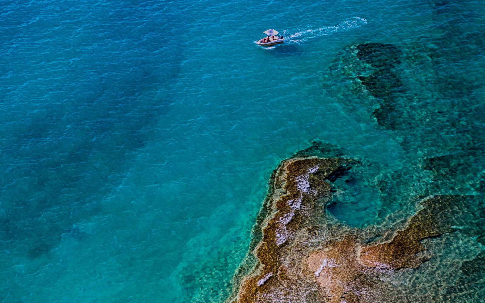 Blue Haven Charters
