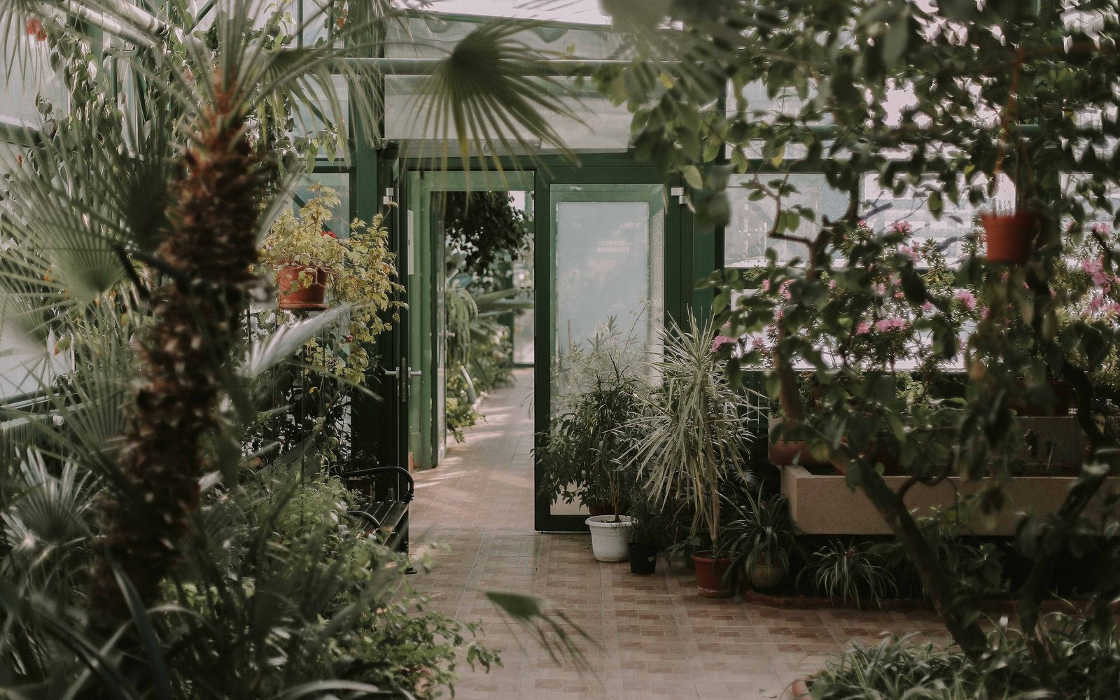 La Plantación at La Casa Selva