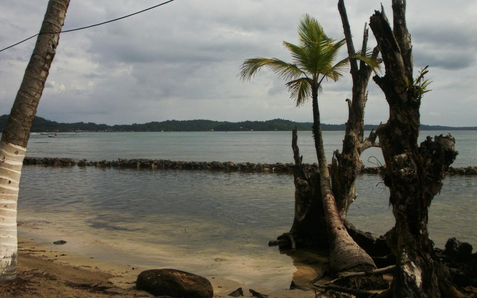 Pineapple House Bocas