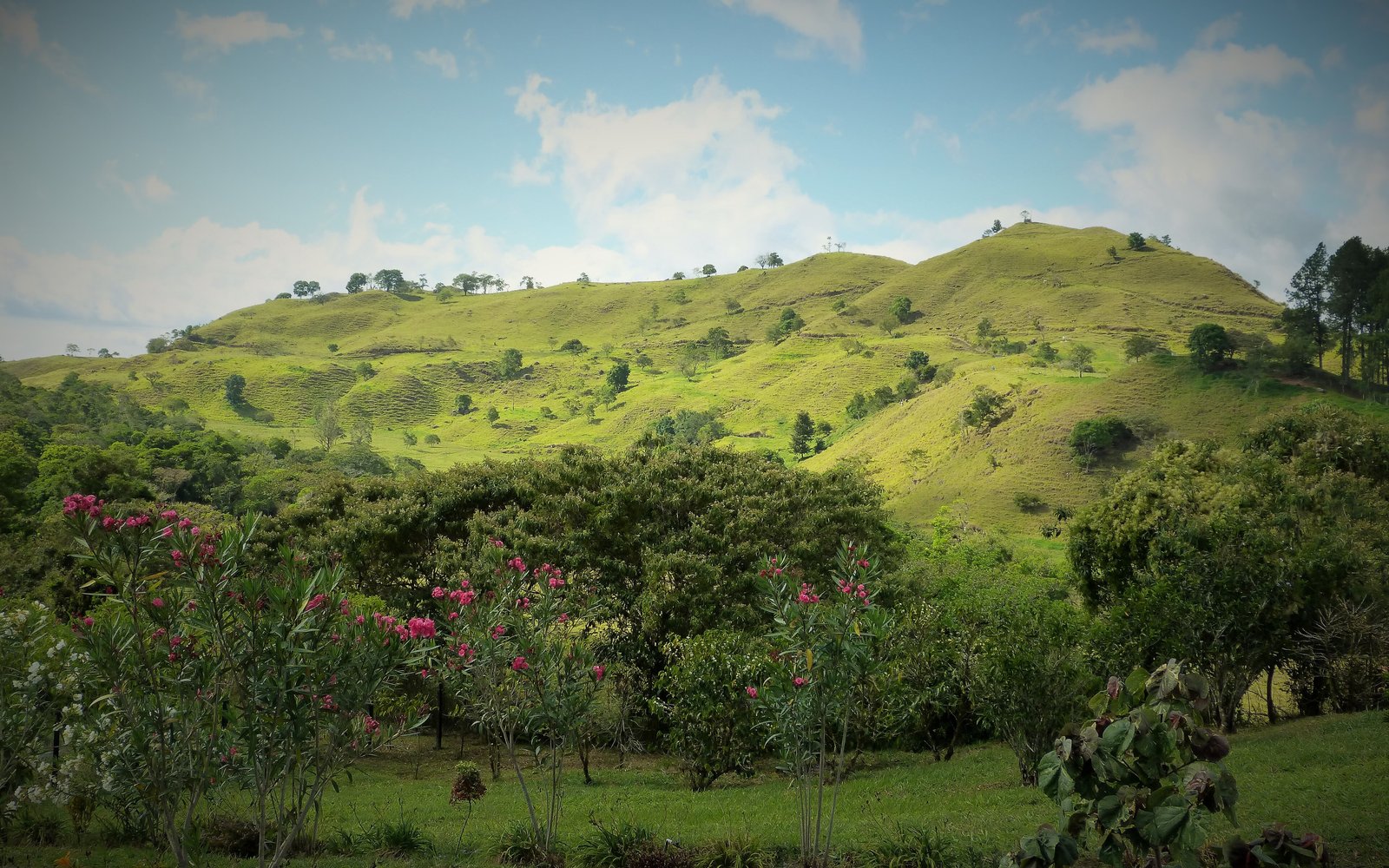 Finca Lérida