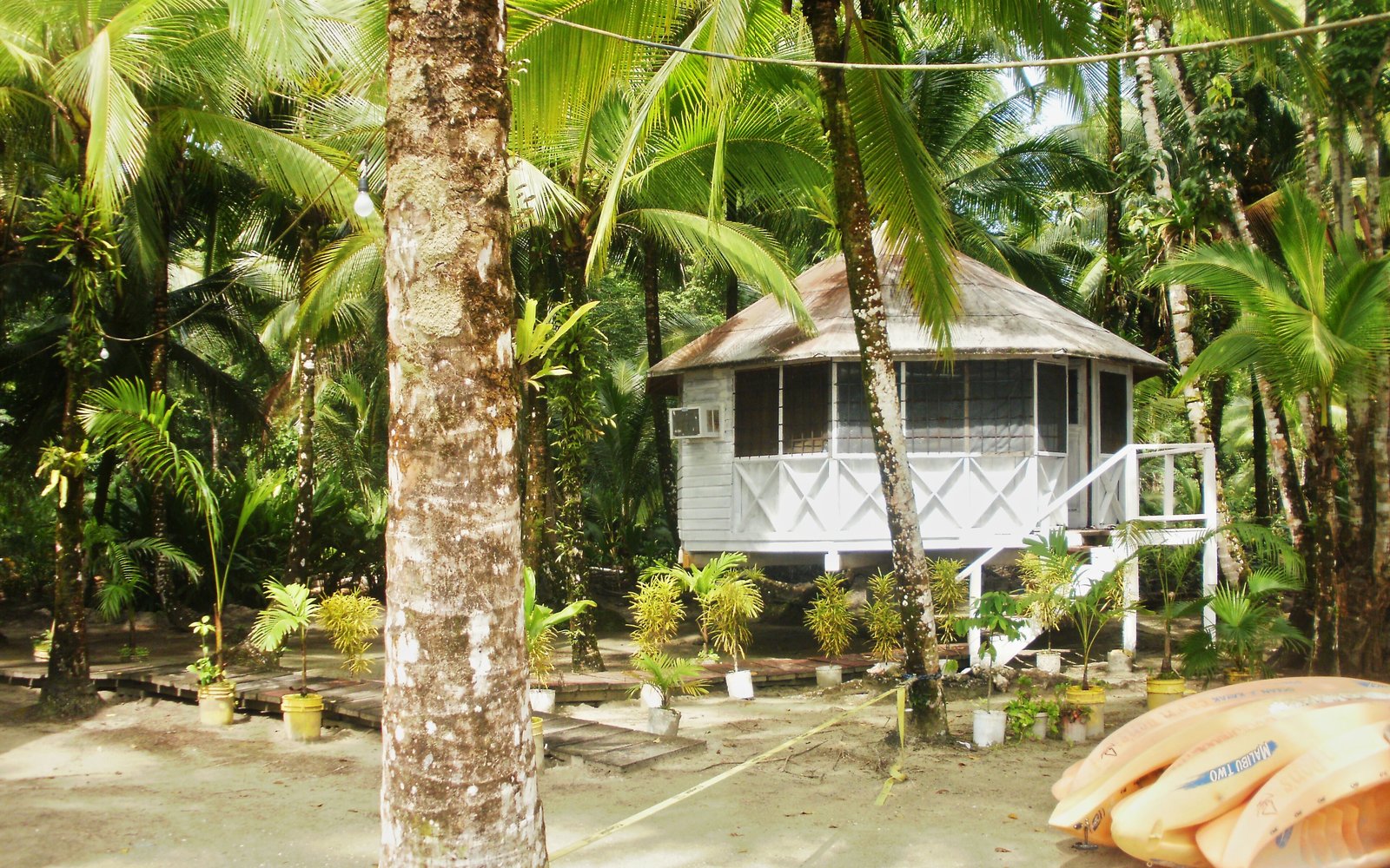Casa Palmera – Rustic Cottage on Isla Carenero