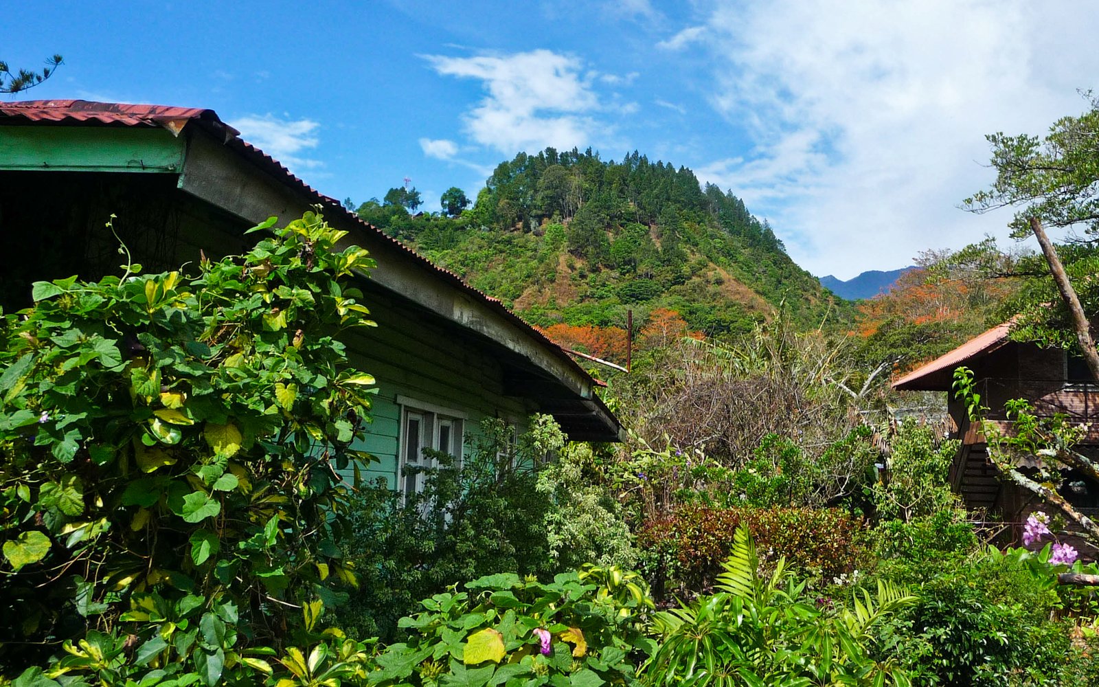 Villa Cascada – Private 1BR Guesthouse