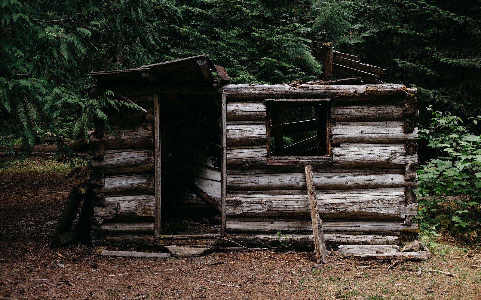 Little House in the Jungle