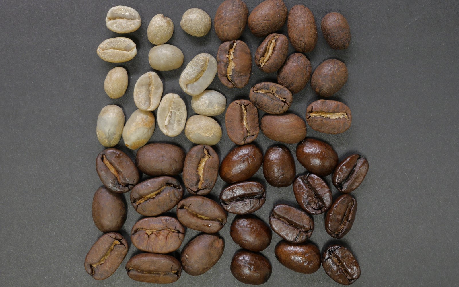 Café Ruiz – Guided Coffee Tours