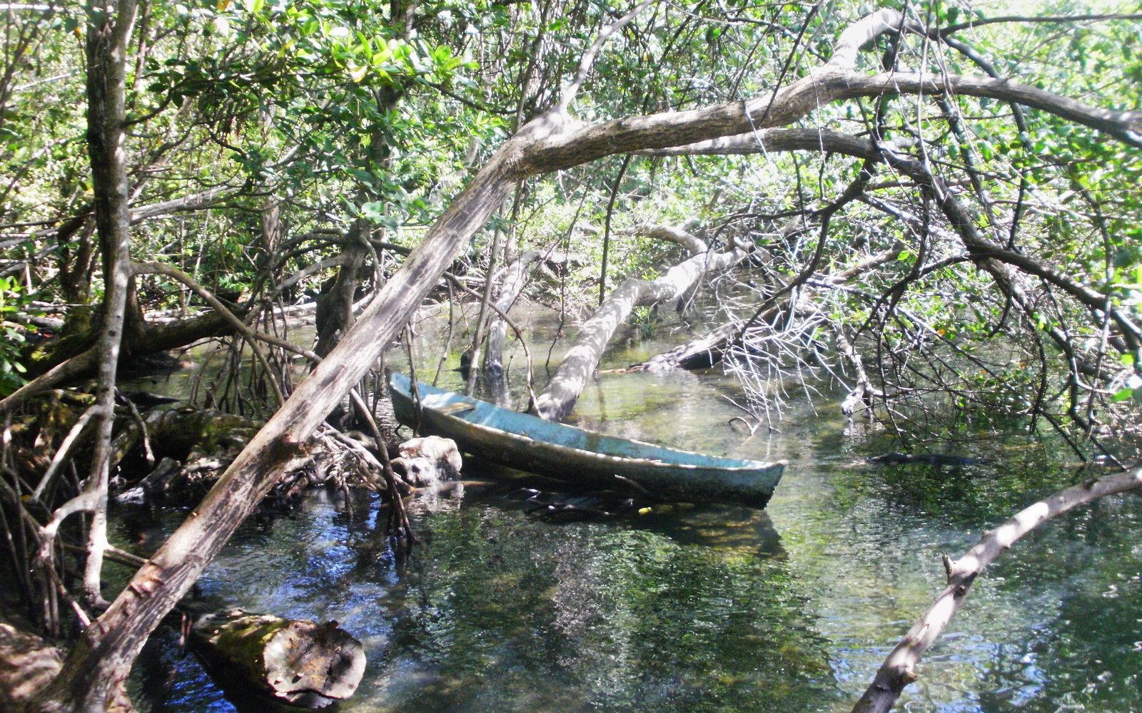 Pangea Bocas – Boat Tours