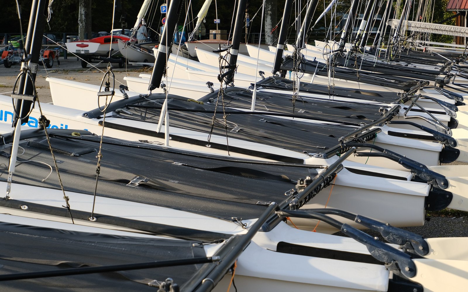 Jager Knights Catamaran