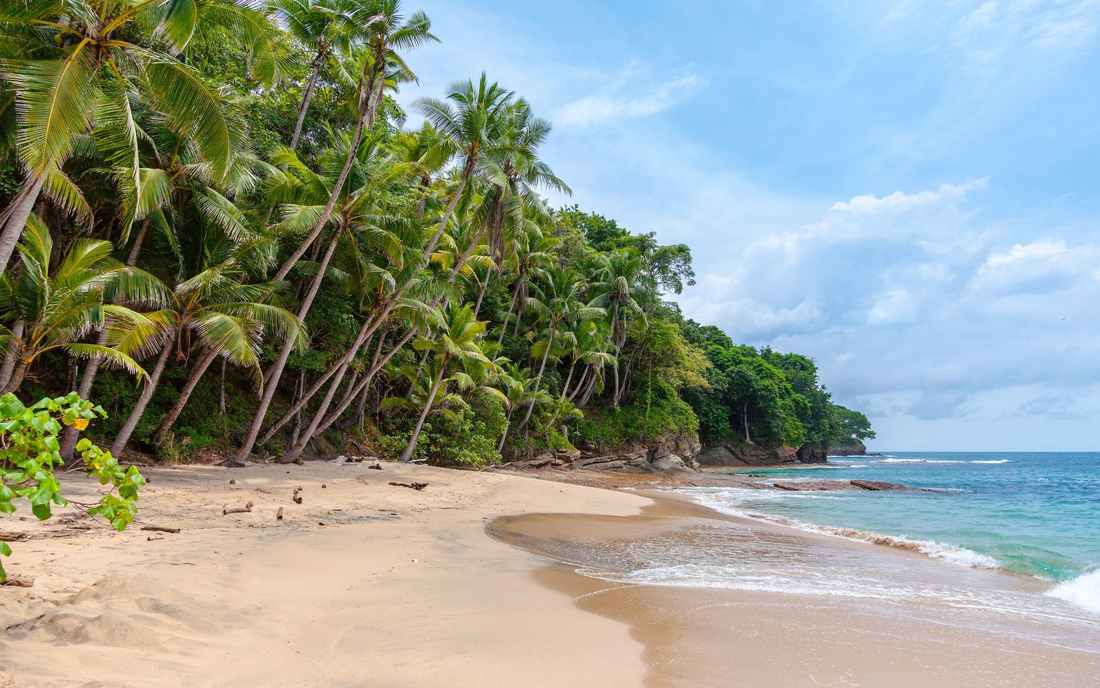 Panama Sailing – Private Catamaran Charters
