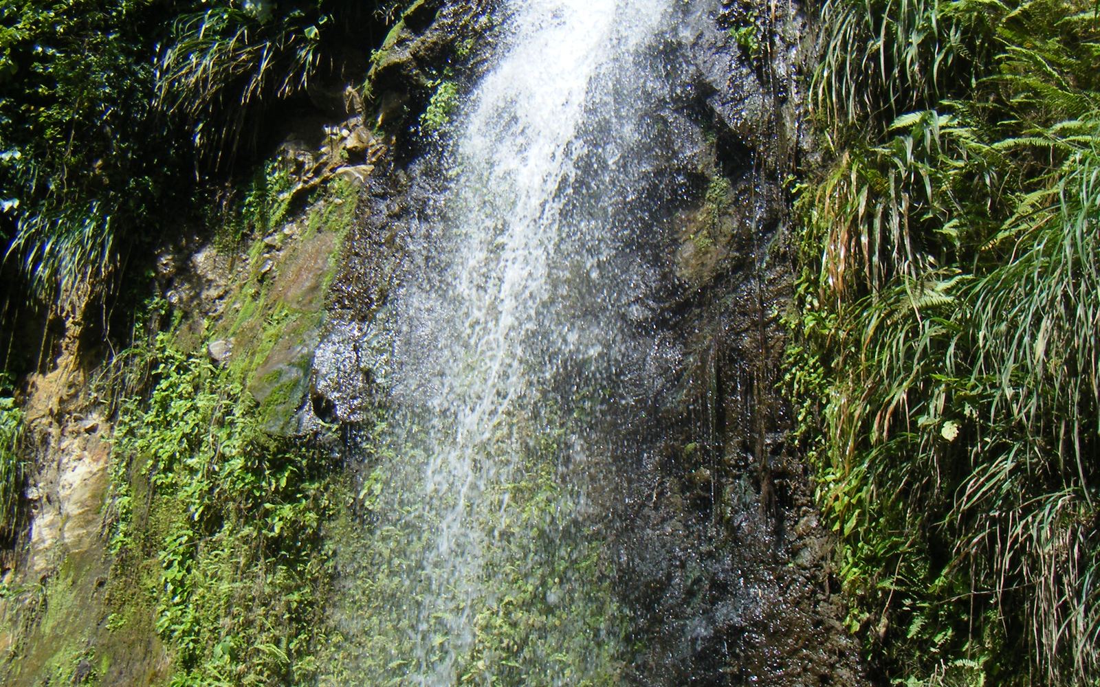 Diamond Falls Botanical Gardens & Mineral Baths