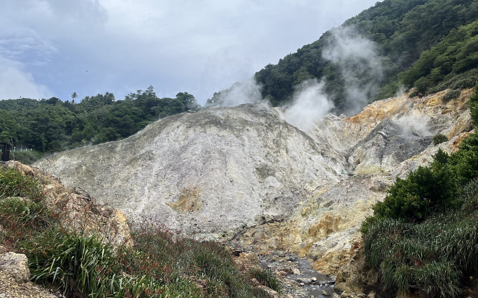Sulphur Springs Mud Bath Tour
