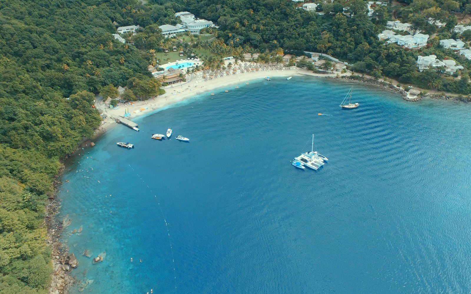 The Real Deal Boat Tours