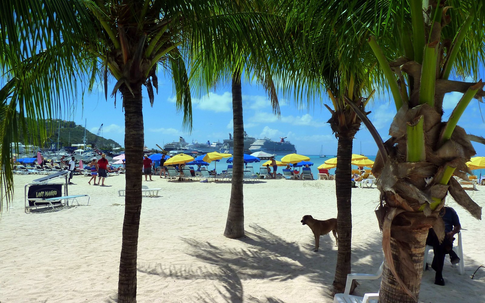 Holland House Beach Hotel