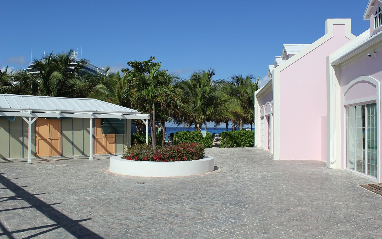 Bougain Villa