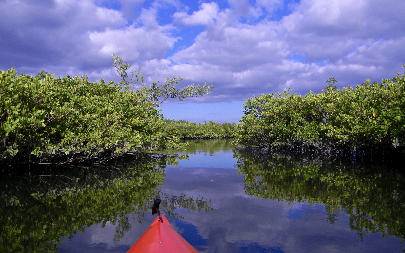 Big Blue Collective – Kayak Eco Tour