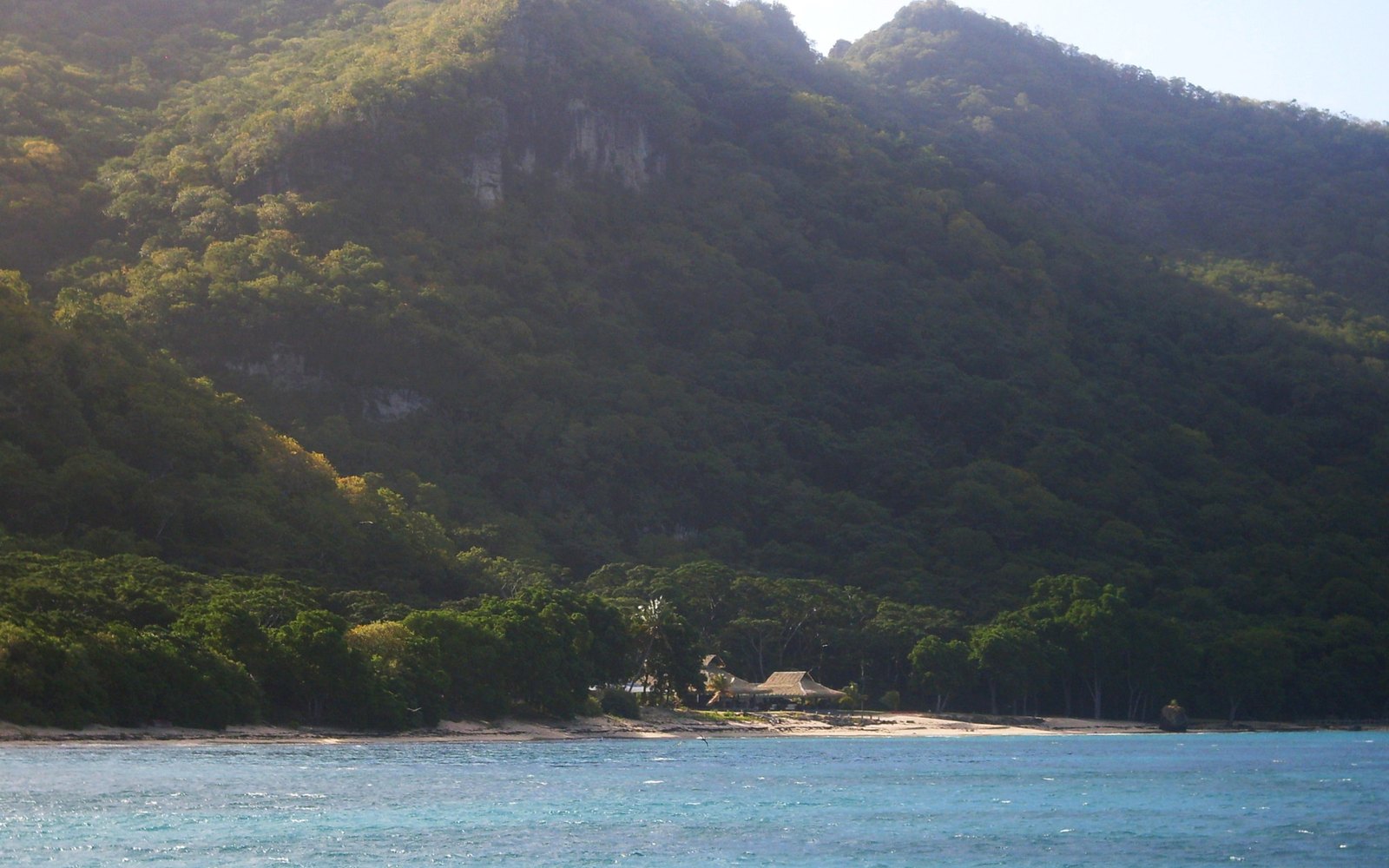 Tropical Hideaway