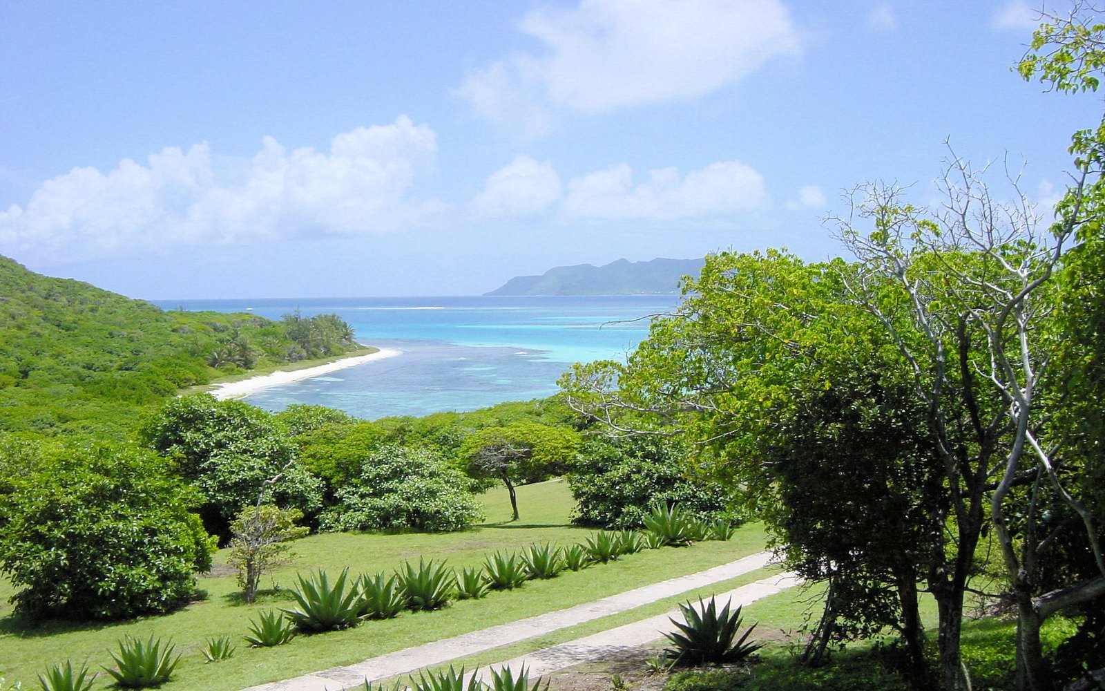 Petit St Vincent