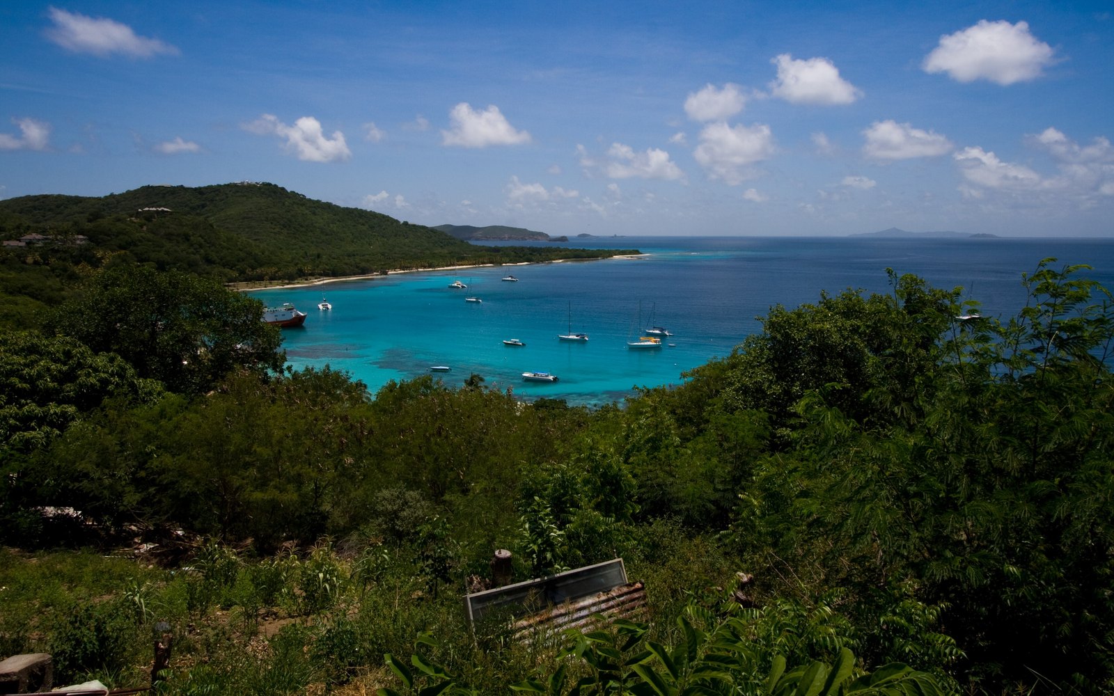 Pelican Beach
