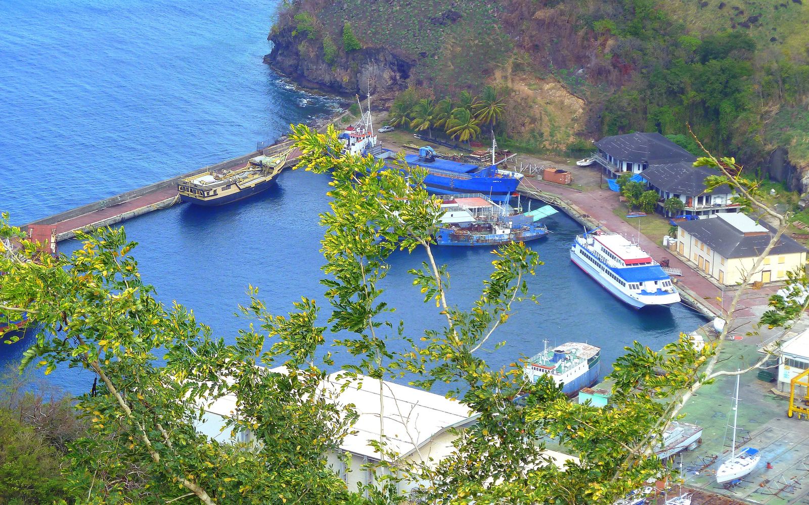 Fantasea Tours