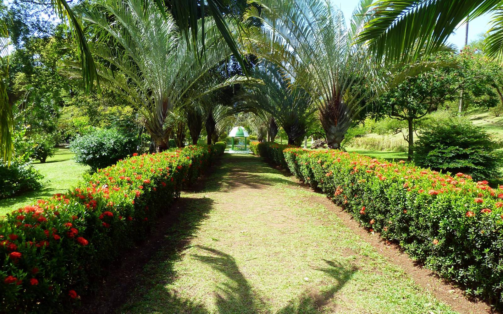 St Vincent Botanical Gardens